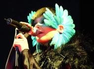 Björk Björk
